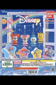 ディズニー　めじるしアクセサリー　4種セット　コンプリート