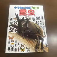 小学校の図鑑NEO 昆虫