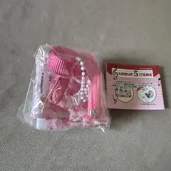 サンリオキャラクターズ レトロレッスンバッグミニキーホルダー マロンクリーム