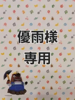 優雨様専用　あつ森amiiboカード　6枚