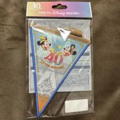 東京ディズニーリゾート 40周年 ドリームガーランド