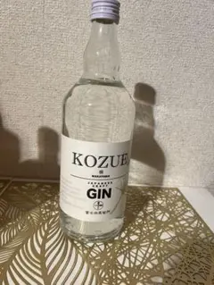 GIN 12本おまとめ超お買い得セット - メルカリ