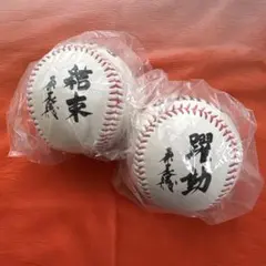 ジャイアンツ サインボール(プリント)/2011&2012