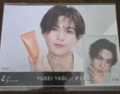 八木勇征estフライヤー、フォトカセット