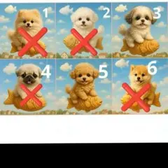 573 犬柄 オーダー用パネル