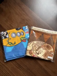 DisneySea ウォッシュタオル 2枚セット