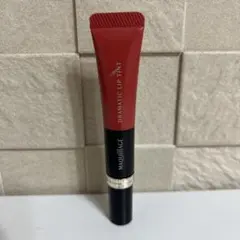 MAQuillAGE Dramatic Lip Tint PK301のサムネイル