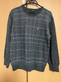 ゴールデンベア　ニット　Lサイズ