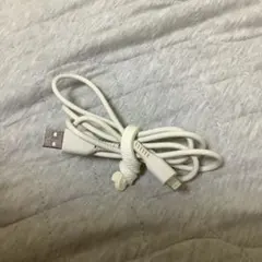 Apple Lightning USBケーブル ホワイト