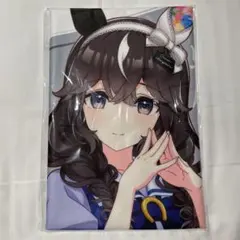 カレンブーケドール 5点 ウマ娘 7th ミニ応援タオルキーホルダー カレンブーケドール 5点 ウマ娘 7th ミニ応援タオルキーホルダー