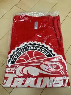 バスケ　東京八王子ビートレインズ　BeeTRAINS