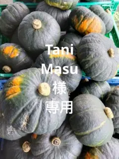 Tani Masu　様　専用