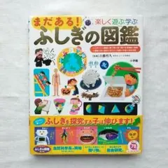 まだある!ふしぎの図鑑 楽しく遊ぶ学ぶ