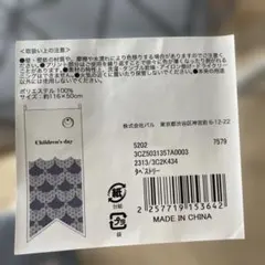こどもの日　 鯉のぼりタペストリー