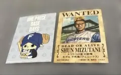 北海道日本ハムファイターズ　ワンピースコラボステッカー　水谷瞬選手