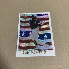 シカゴ・ホワイトソックス　ルイス・ロベルトJr.