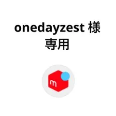 onedayzest様 リクエスト 2点 まとめ商品