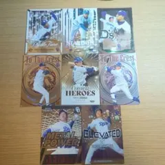 中日ドラゴンズ トレーディングカードセット