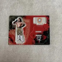 ドラゴンゲート 豹 アクリルスタンド 中古 - メルカリ