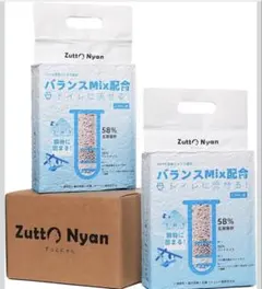 Item thumbnail for item 226d6b11-feab-443d-838b-b00ef0700003