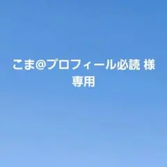 2025年最新】プロフ必読様専用の人気アイテム - メルカリ