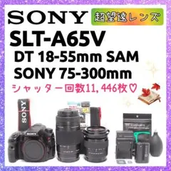 ❤即購入1000円OFF❤ ソニー α65 × 超望遠レンズ ダブルズーム