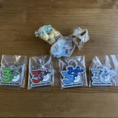ポケモン 30周年 記念キーホルダーセット　ブイズキーホルダーセット