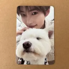 ZB1 ゼベワン NEVERSAYNEVER デジパ レオ トレカ ハンビン