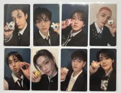 straykids SKZOO たまごっち 特典 トレカ コンプ 8枚 セット