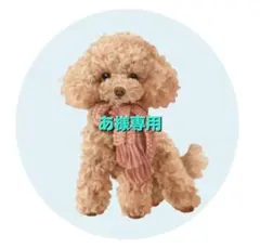 あ様専用地雷量産型iQOSイルマワンデコケース