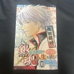 銀魂 キャラクターリミックス 坂田銀時 未開封 - メルカリ