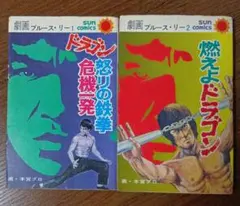 最終値下げ！ブルース・リー 写真李小戒 図鑑本 3000冊限定 初版 絶版 最終値下げ！ブルース・リー 写真李小戒 図鑑本 3000冊限定 初版 絶版
