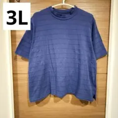 ネイビー ボーダー 半袖 Tシャツ 3L 大きいサイズのサムネイル