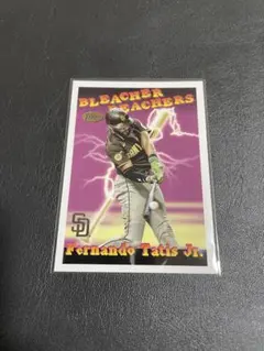 Fernando Tatis Jr. Bleacher Reachersカード