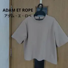 ADAM ET ROPE ベージュ クルーネック カットソー