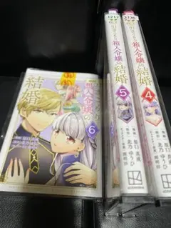引きこもり箱入令嬢の結婚4 5 6 /北乃ゆうひ/原口真成