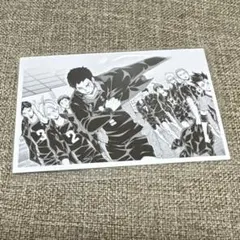 ハイキュー 10th クロニクル 思い出スナップフォトカード 烏野 集合