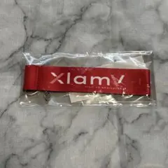 Item thumbnail for item a92312f0-d177-4408-88c1-540a2f8f4cf4