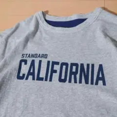2026年最新】スタンダードカリフォルニア tシャツ グレーの人気 