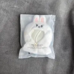 【新品未開封】Stray Kids 本国ペンミ10cm SKZoo 着せ替え