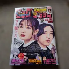 ビッグコミック 2021年12月25日号