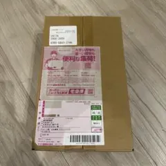 抽選販売　スカーレット＆バイオレット スペシャルBOX ポケモンセンターフクオカ