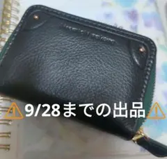 ⚠️9/28まで出品⚠️小銭入れ、カード入れ【深暗緑】