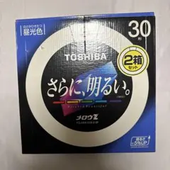 Item thumbnail for item 2314cb50-77a8-4787-8b09-1486a4704ad6