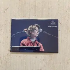 Mrs. GREEN APPLE 藤澤涼架 フィヨルド フォトカード 007