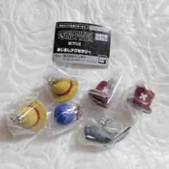ONE PIECE 　めじるしアクセサリー