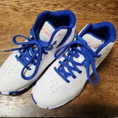 asics バスケットボールシューズ ホワイト/ブルー
