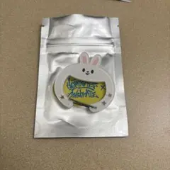 straykids スキズ CelebrATE skzoo カラビナ　リービット