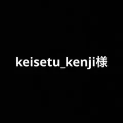 keisetu_kenji様 リクエスト 3点 まとめ商品 生地 布地