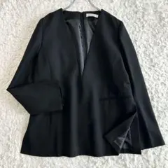 【美品✨】 アドーア 2023年 クリアツイルブラウス サイズ38 黒